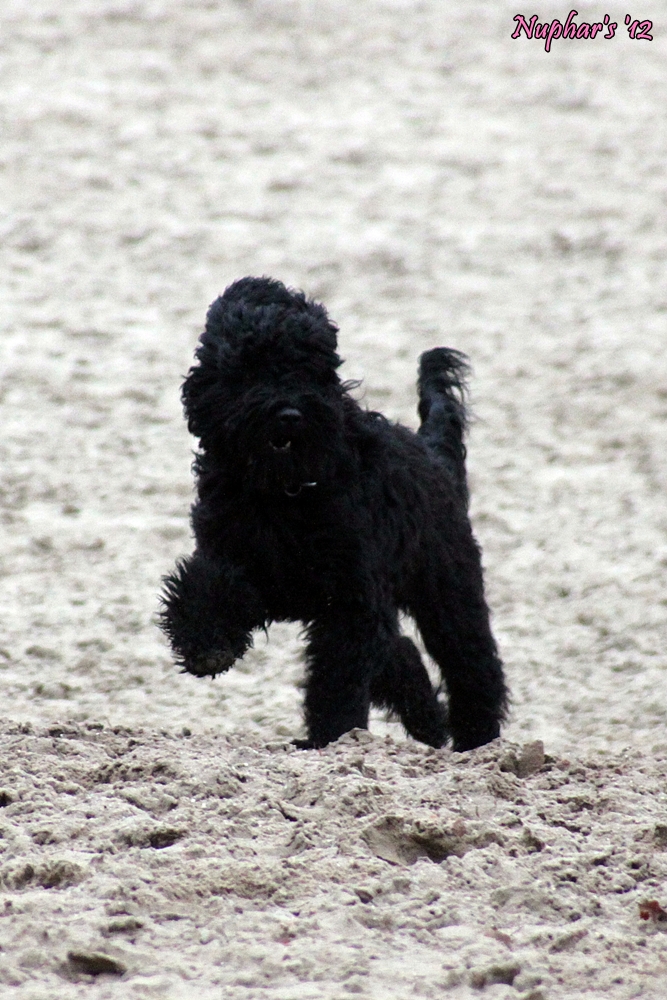 Blog IMG_3458 thibault