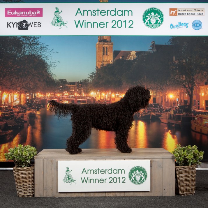 Winner 2012- kleiner