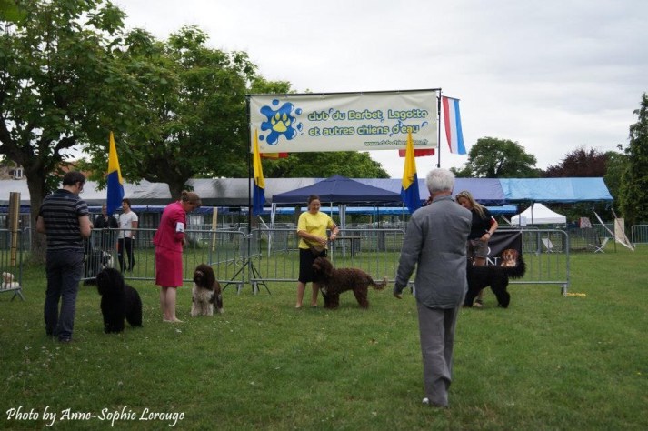 Blog 1157644_387776251345569_36614389_n