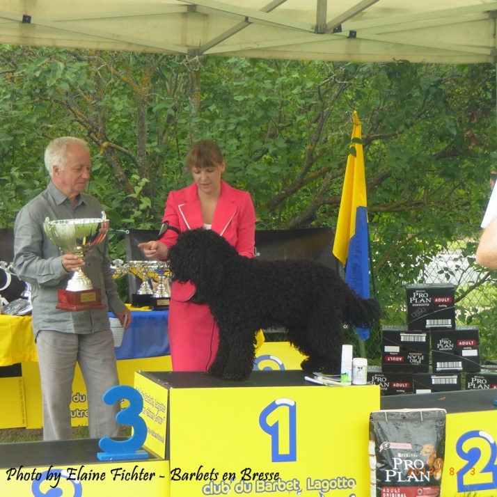 Blog Barbet_AlbaBIS2013