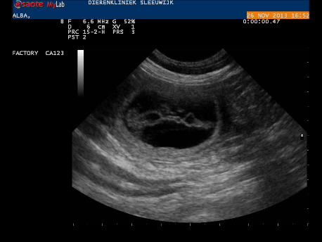 Momentopname 3 (27-11-2013 15-10)