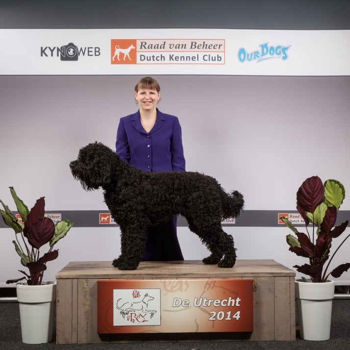 Blog 76CA455ACE344715728E-3888