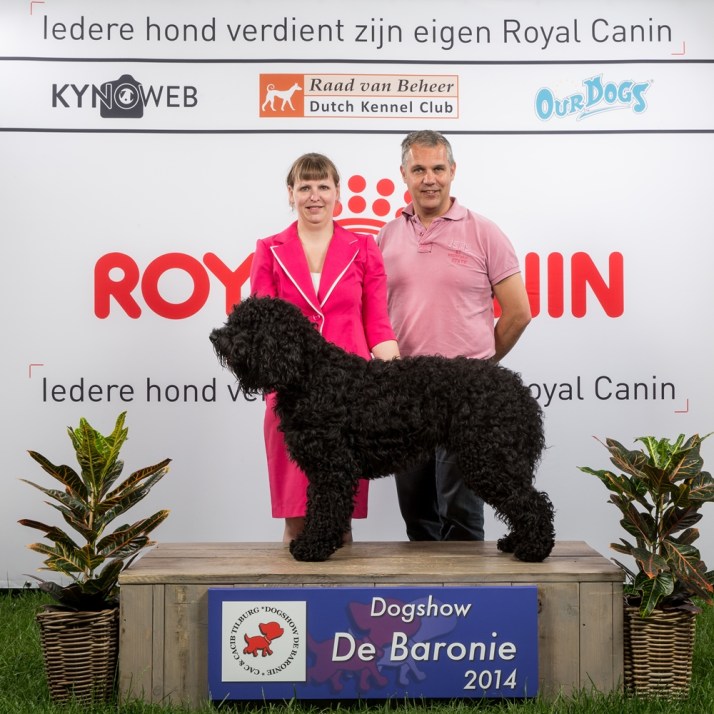 Blog Billy BOB Hulten