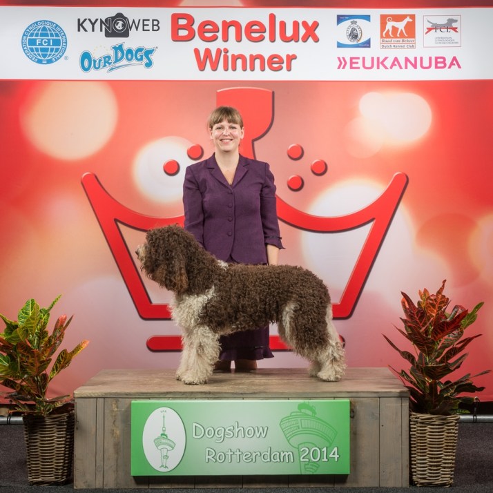 Blog 0B0DA8F34715E417410A-3888