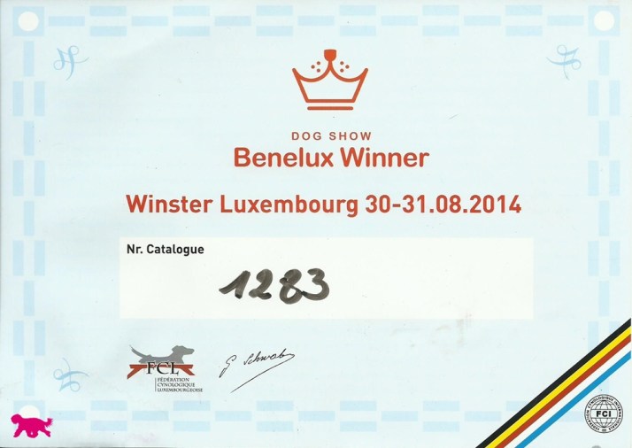 Blog Luxemburg Benelux Winster