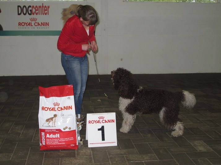 Lotus IMG_2158.jpgk (1)