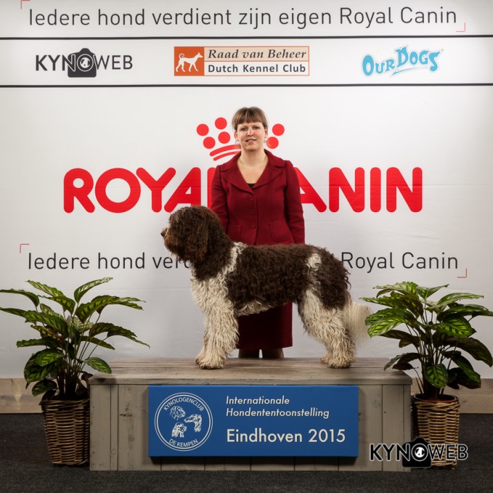 500_EINDHOVEN_2015_Kynoweb_Ernst_von_Scheven_February 06, 2015_12_29_32