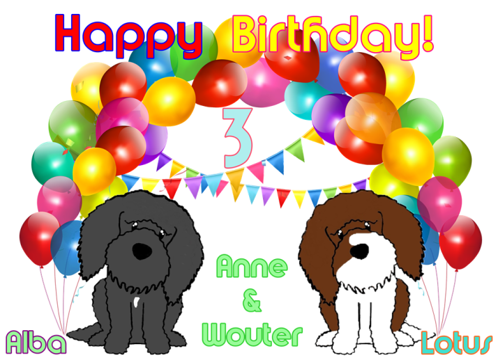 Verjaardagskaart blog