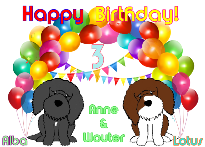 Verjaardagskaart blog