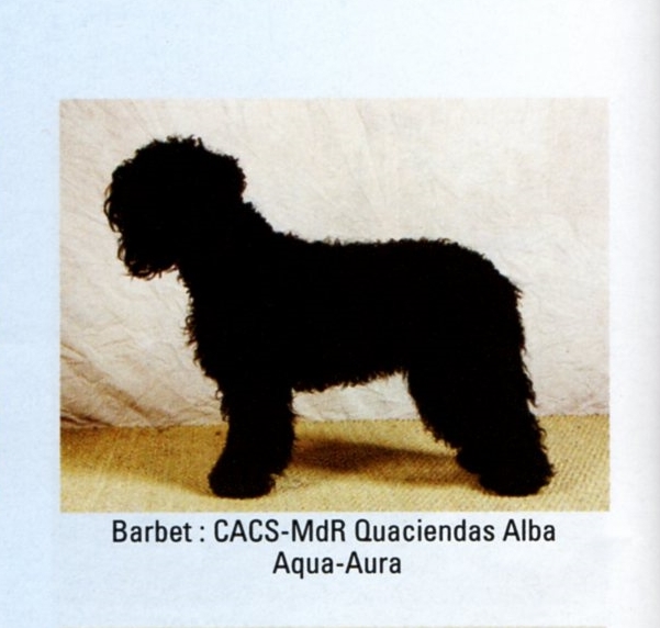 Vos Chiens september 2011 1 foto Alba