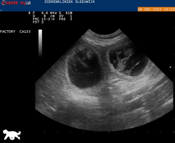 Logo _20151208131402_1423170