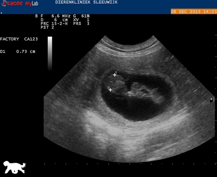 Logo _20151208131402_1423520