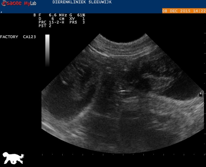 Logo_20151208131402_1422410