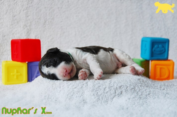 Blog Portret X DSC_0917