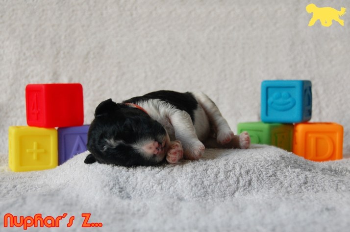 Blog Portret Z DSC_0819