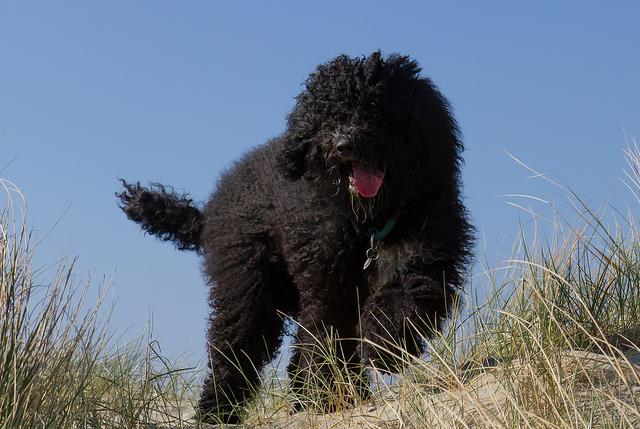 10325619_1712108979048019_7162251038156010562_n