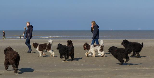 10447644_1712109222381328_7874252536499572551_n