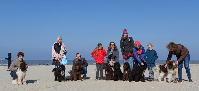 1936397_1712109519047965_5231948528047173952_n