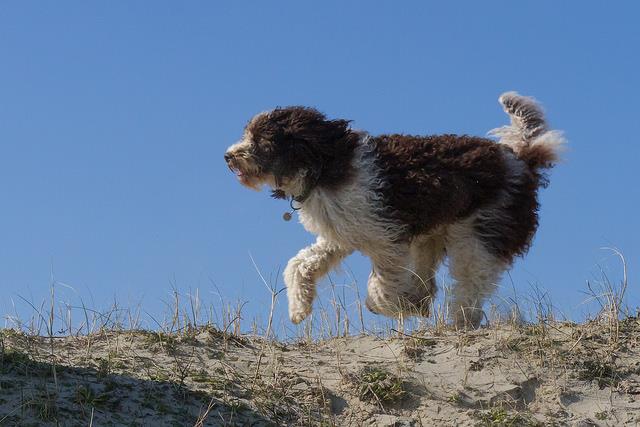 5444_1712109069048010_1656551569970274451_n