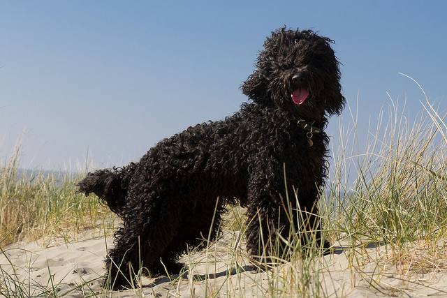 7708_1712109445714639_7537655996166110645_n