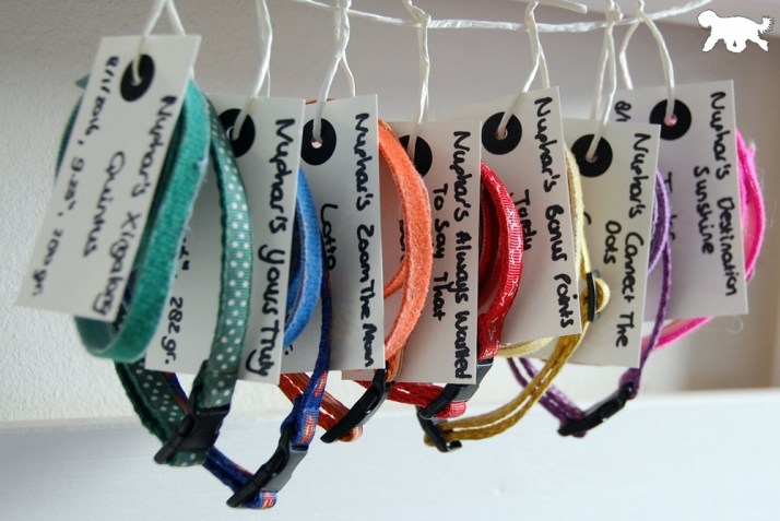 Blog Logo DSC_0248 aangepast