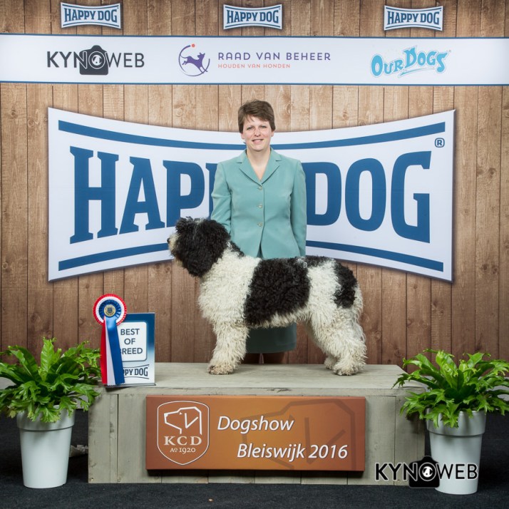 © KYNOWEB - http://www.kynoweb.com/ - Photo by Ernst von Scheven