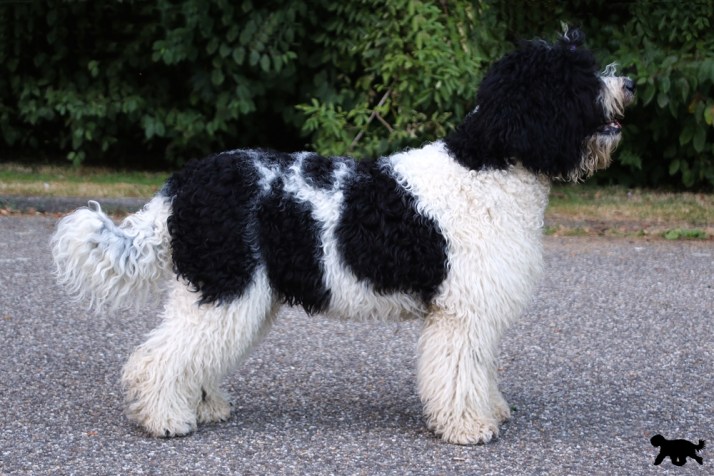 blog-4u7a2948-aangepast