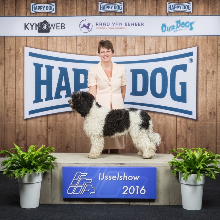 © KYNOWEB - http://www.kynoweb.com/ - Photo by Ernst von Scheven