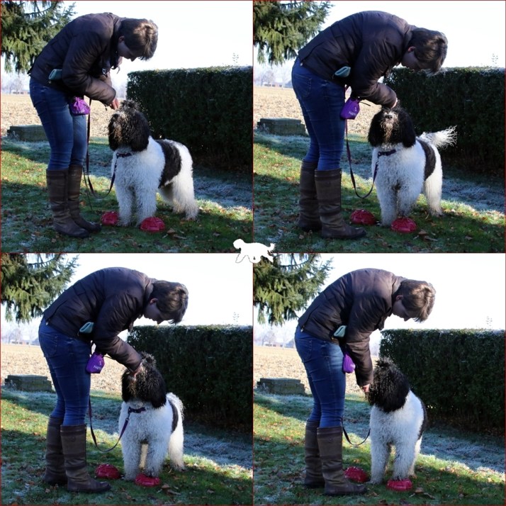 blog-ballen-zijwaarts