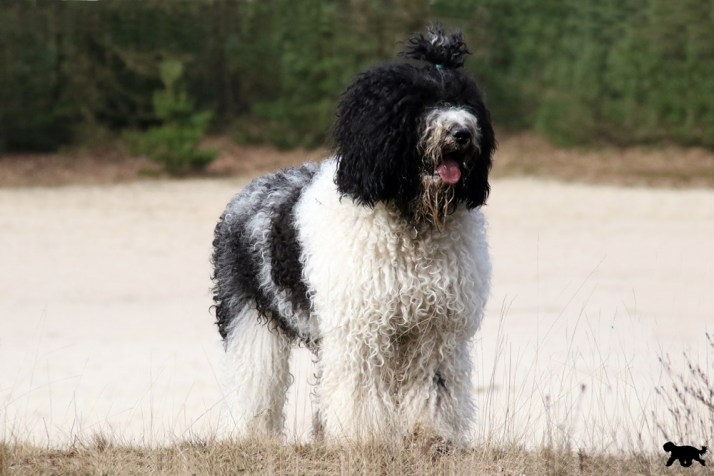 Blog 4U7A6630 aangepast 2