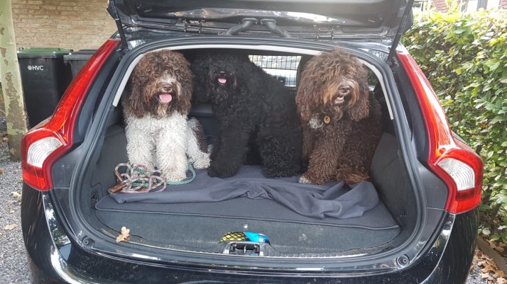 59a0a1c9-0d35-401a-a940-5561efe1b849