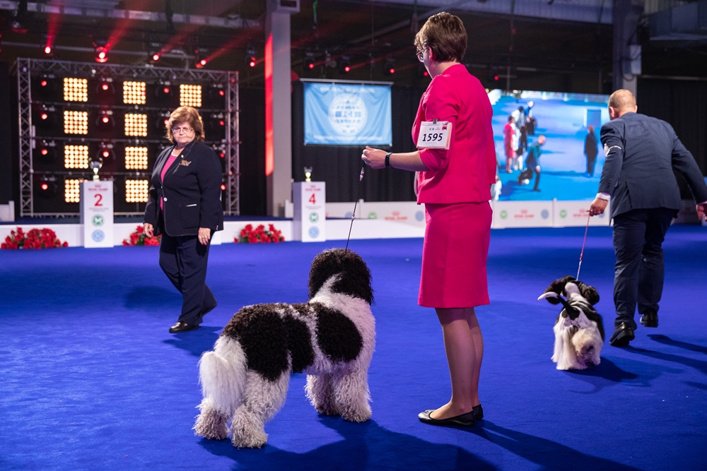 Blog Cait EDS erering 3