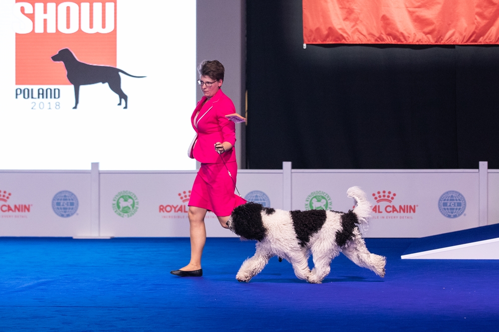 Blog Cait EDS erering