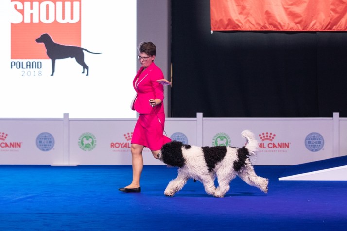 Blog Cait EDS erering